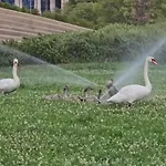 Apartament Istrabella