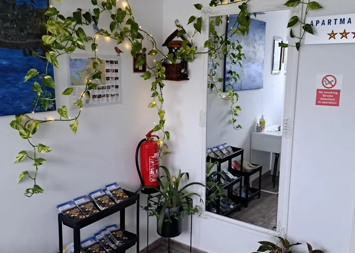 Lejlighed Istrabella Koper